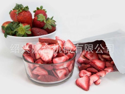 دستگاه خشک کردن یخ 1000 کیلوگرمی