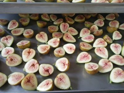 دستگاه میوه ای یخ زده صنعتی فریزر استیل خلاء