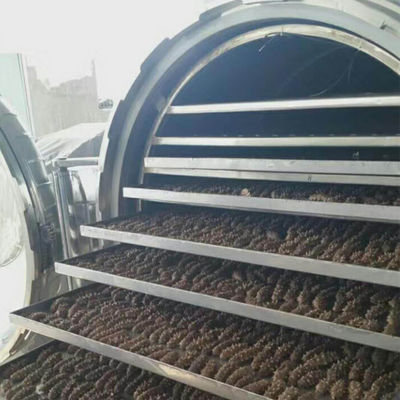 دستگاه میوه ای یخ زده صنعتی فریزر استیل خلاء