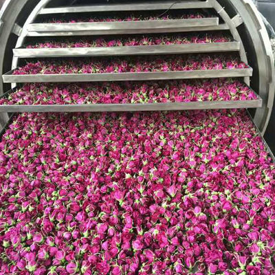 دستگاه میوه ای یخ زده صنعتی فریزر استیل خلاء